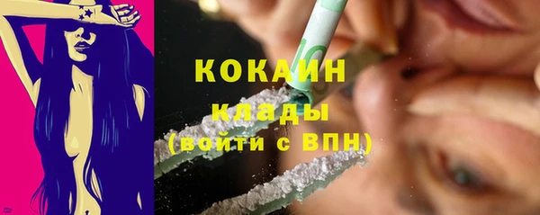 спиды Алзамай