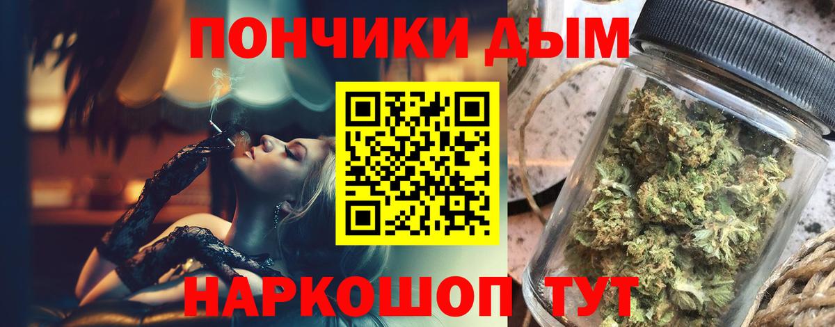 Бошки Шишки Amnesia Кохма